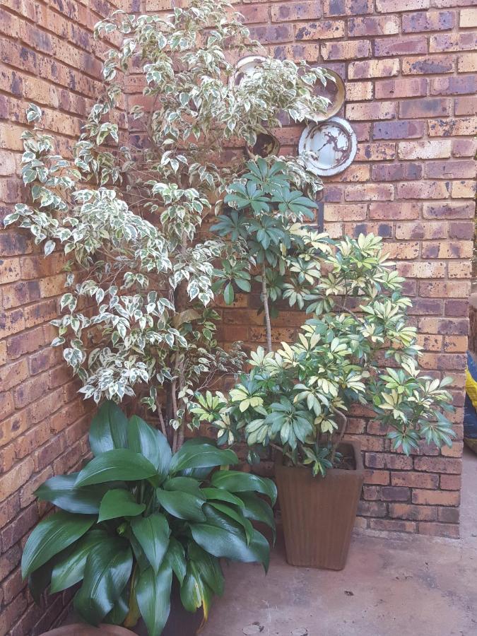Grace Place Bnb Pretoria Bed & Breakfast Luaran gambar